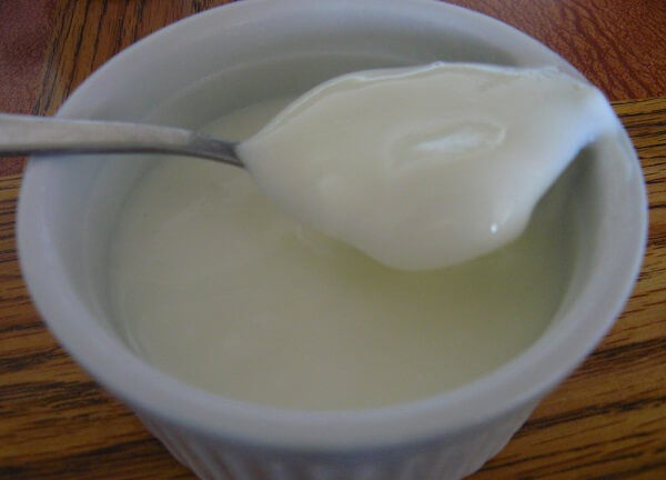 Resep Yoghurt Homemade Minuman Sehat Untuk Ibu Hamil